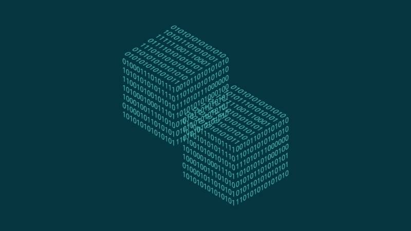 若尔盖信创改造：网络应用开发流程标准化的核心路径与实践