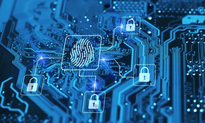 若尔盖软件开发公司